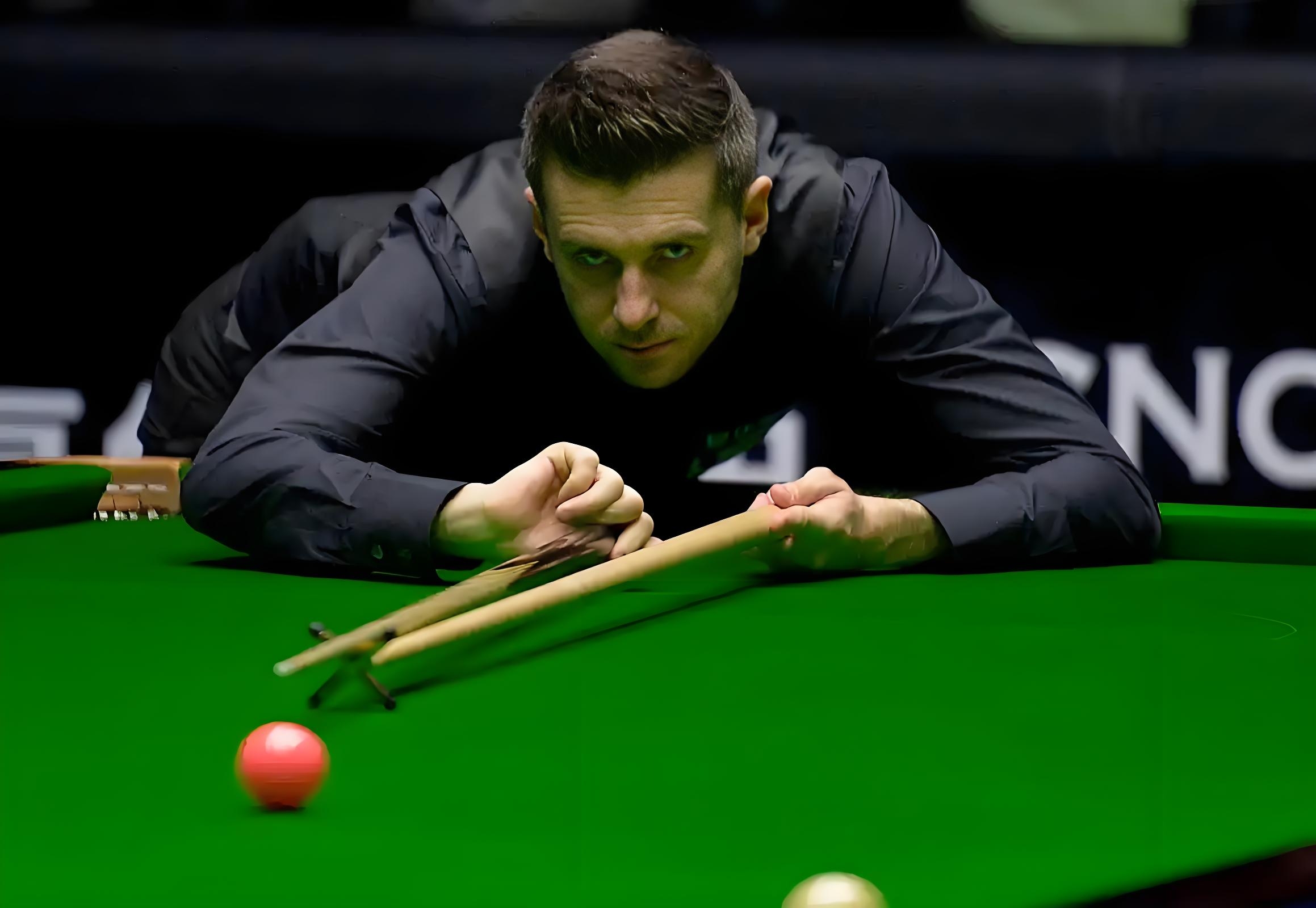 加利亚的比 加利亚的比